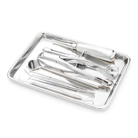 Basic Dental Kit